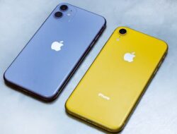 Perbedaan iPhone XR dengan iPhone 11, Masih Layak Beli di Tahun 2023