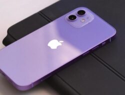 Harga iPhone 11 dan iPhone 12 Turun Drastis di iBox Februari 2024, Selisih Harganya Tipis