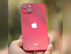 Daftar HP iPhone Harga di Bawah Rp 10 Juta di iBox Terbaru April 2024