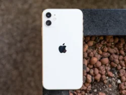 HP Paling Murah yang Dijual di iBox, Segini Harga iPhone 11 Terbaru Mei 2024