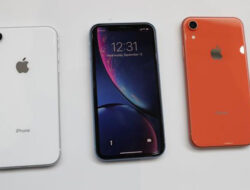iPhone XR Masih Diminati, ini Pertimbangan untuk Membelinya di Tahun 2024