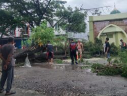 Aksi Sigap Polisi di Bulukumba, Ikut Bantu Proses Evakuasi Pohon Tumbang