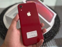Harga iPhone XR Sudah Murah, Masih Layak Digunakan 2024? ini Pertimbangannya