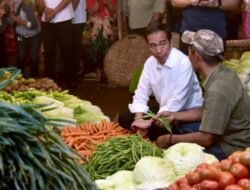 Besok, Presiden Jokowi Akan Blusukan ke Pasar Cekkeng Bulukumba