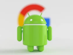 Verifikasi Developer Android Aktif di Indonesia