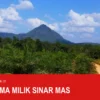 Filma Produk Mana dan Siapa yang Mendaftarkannya di BPOM