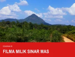 Filma Produk Mana dan Siapa yang Mendaftarkannya di BPOM