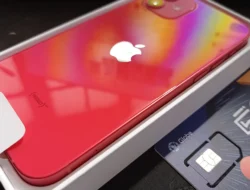 Harga iPhone 12 dan Pro Max Bekas Oktober 2026