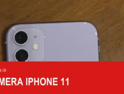 Perbedaan iPhone 11 dan iPhone 11 Pro, yang Pro Lebih Kecil